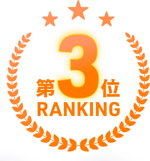 ランキング第3位